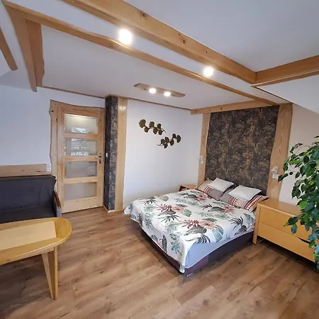 Zacisze Pod Halami 民宿